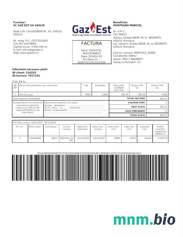 Rumunia Gaz Est narzędzie bill Word i PDF szablon